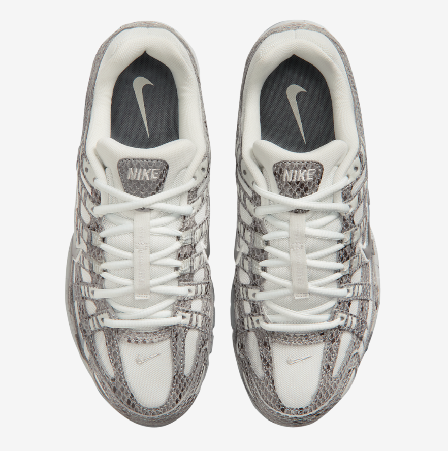 Nike P-6000